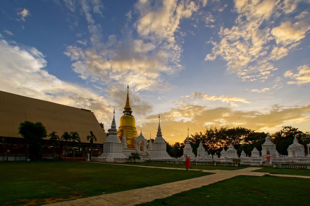 Chiangmai Tree Hostel Чиангмай Экстерьер фото